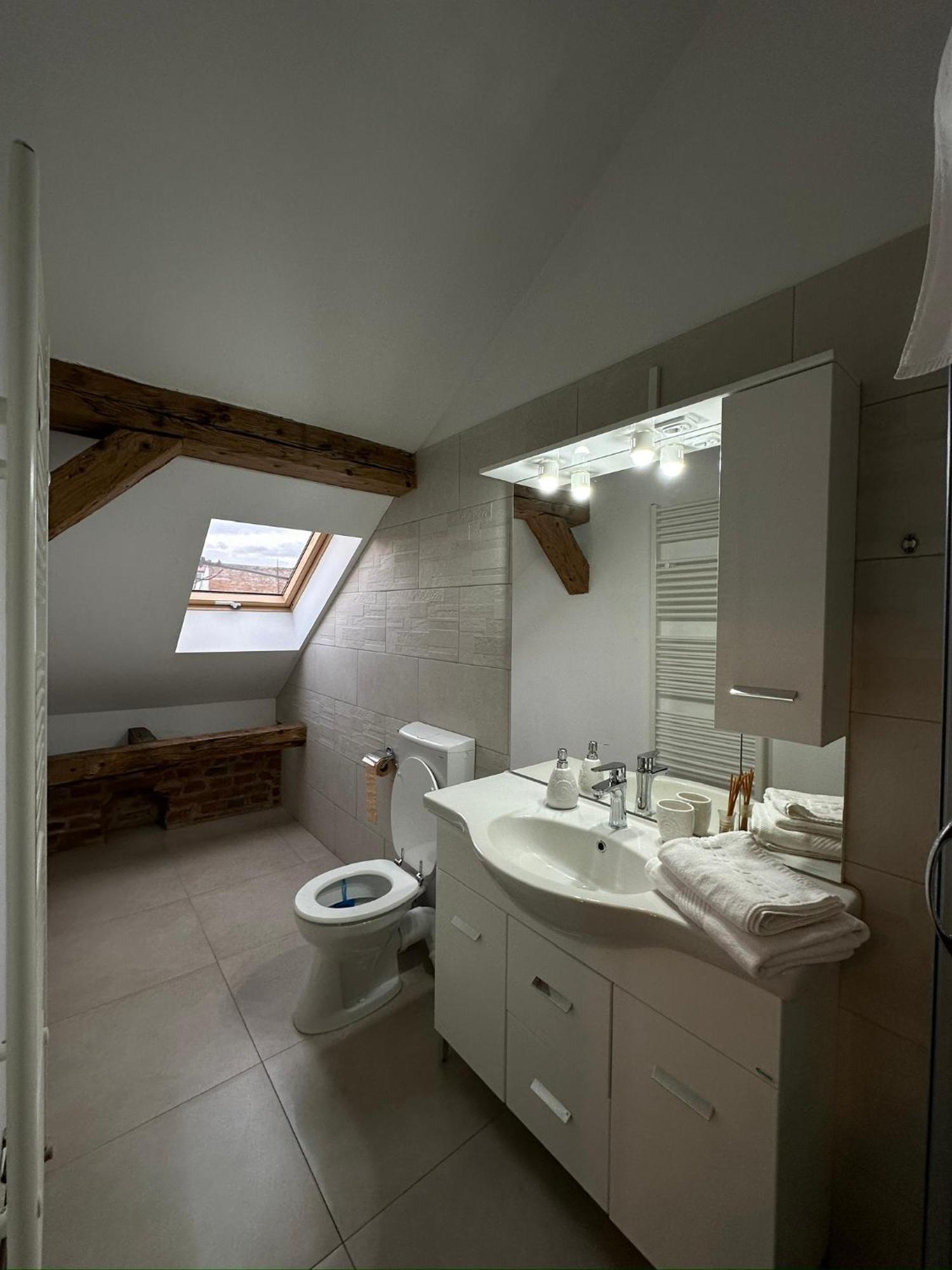 Antique Aparthotel Алба Юлия Екстериор снимка